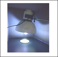 _(ti)ʽ̻