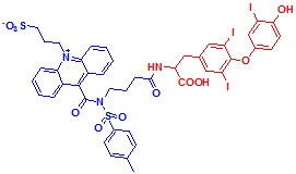 ߹ऻ}-T3Y(ji)