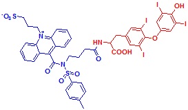 ߹ऻ}-T4Y(ji)