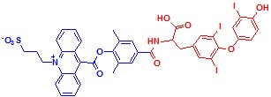 ߹-T3Y(ji)